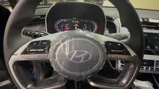 Hyundai Tucson Travel 2024 г.  Лиса рулит