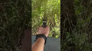 Pistol RED DOT : Steiner MPS