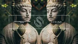 Cato Anaya & Styline - Bailalo