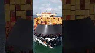 How One Company Became the King of Global Shipping! #facts #ytshorts #trending
