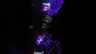 Denver zoo Lights: Dec. 24th 2021
