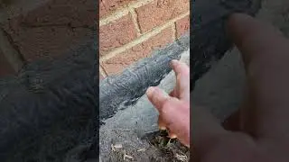 basement waterproofing tar applied only to top of foundation wall = dumb dumbs