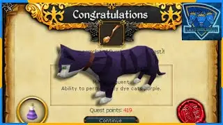 RuneScape 3 Purple Cat (miniquest)