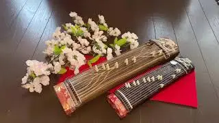 I played a miniature koto  Japanese harp  “SAKURA” cherry blossom It's a small, but it's authentic.
