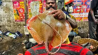KASIMEDU 🔥 SPEED SELVAM | BIG RAY FISH CUTTING VIDEO | 4K VIDEO | KM FISH CUTTING