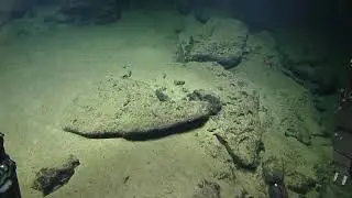 ROV Hercules Dive NA124 H1841 2020 10 30 17 50 31 519 UTC 1 W1