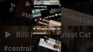 Don&rsquo;t Use These Trending Hashtags ❌ | YouTube Shorts Never Go Viral 😱
