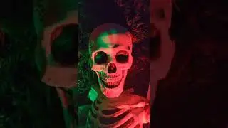 My home haunt so Far, nearly ready for Halloween