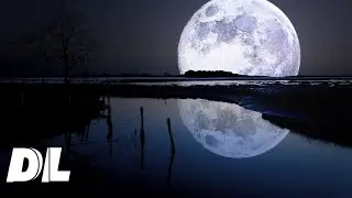 DDD - Moon Princess