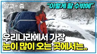 우리나라 최대 다설지역에 사는 사람들｜울릉도｜힐링 영상｜한국기행｜알고e즘