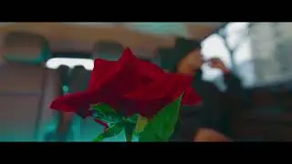 DubStepp - Hermosa (Official Video)