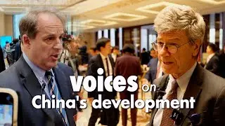Hear VIPs discuss China's role in the global economy at the China Development Forum