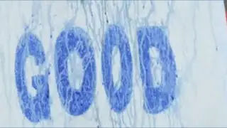 Belvedere becomes site of ICE protest during nationwide streak
