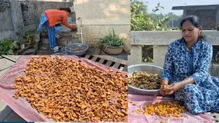घर पर बनाए 100% शुद्ध हल्दी पाउडर कच्ची हल्दी से।शुद्ध बनाने का सबसे आसान तरीका Haldi recipi 