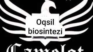 Oqsil biosintezi