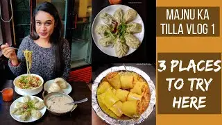 Majnu Ka Tilla Vlog 1I Tibetan Food I Laphing I Thukpa I Ama Cafe