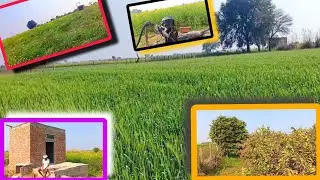 🌄🌾🌱🍐👳🚜🗼#youtubeshorts #agriculture #shorts #subscribe #share #shortsviral #viralvideo #viral #vlog 📸
