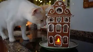 Snowy Winter Day ❄️ Gingerbread House, Cozy Home & Cat