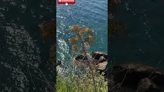 Peaceful 4K Landscapes with Ambient Music#4KScenery #NatureIn4K #BeautifulLandscapes #RelaxingViews