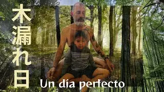 Dos #claves para una #vidaplena : D&iacute;as Perfectos y Monet
