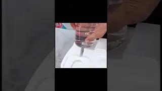 Amazing Amazon Pet Tech Finds # 3