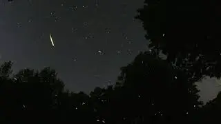 tau Herculids and fireflies