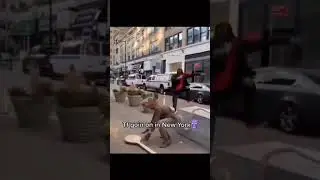Tf going on in New York #shorts #memes