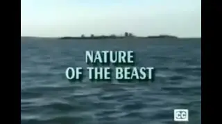Thunder in Paradise - Episode 11 - Nature of the Beast (1994-05-27)