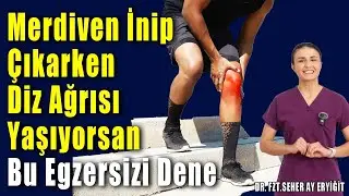 Merdiven İnip Çıkarken Diz Ağrısı Yaşıyorsan Bu Egzersizi Dene #aktifizyo #fizyoterapist