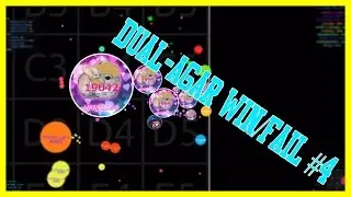 Dual-Agar Win/Fail #4