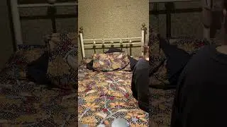 Cat role play