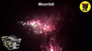 Moonfall Single Ignition Firework - Black Cat Fireworks