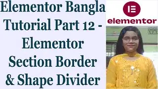 Elementor Bangla Tutorial Part 12 - Elementor Section Border & Shape Divider