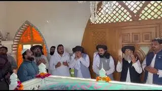 Saad Hussain Rizvi Status Qasida Burda Sharif #tlp #shorts #viral #video #tlp status
