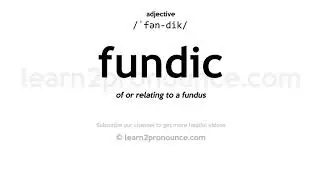 Произношение фундальный | Определение Fundic