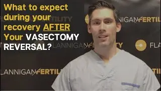 Recovery after your Vasectomy Reversal Surgery