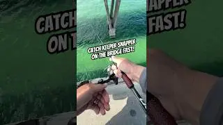 How to Catch Keeper Snapper FAST!