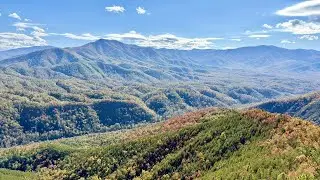 Buzzards Roost and Hall Mountain fire tower