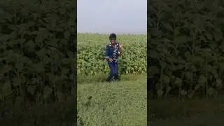 Khaidhi 151