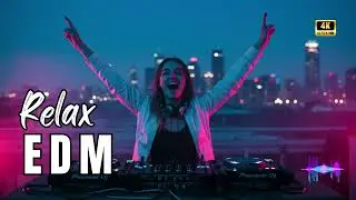 Lo-Fi EDM Chill Mix 🎧| Calm Background Beats for Study & Focus