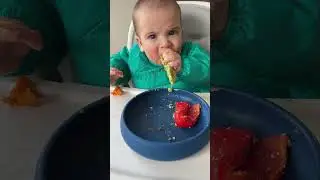 Easy Fruits & Veggies for BLW | Eating Bird Food