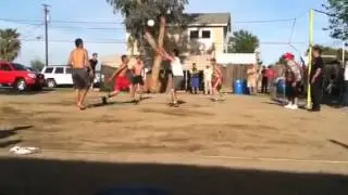 Creadada el gato y buchon vs el pajaro y el brinca casas