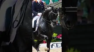 Famous horse legends