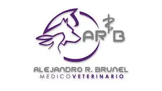 Como cuidar a una hembra pre&ntilde;ada.