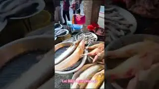 Lal Bazar Fish Market,Bondor Bazar,Sylhet 🇧🇩#food #fish #sylheti #bd 