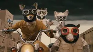 Squab | Fantastic Mr. Fox