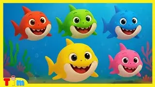 Baby Shark - Soccer Ball Adventure | Nursery Rhymes & Kids Songs | Tim Time