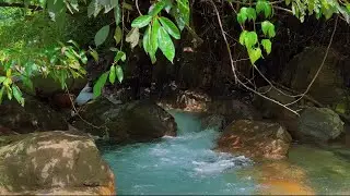 Deep Sleep River Sounds | Gentle Flowing Water for Stress Relief, Relaxation & Inner Peace | 4K-HDR
