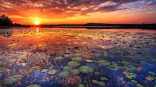 Mav - Grace light HD