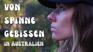 Spinnenbiss in  Australien | So ist es wirklich